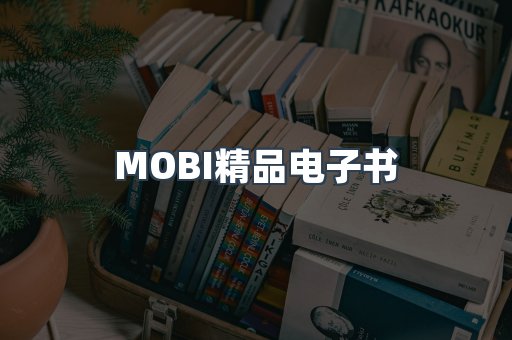 PDF电子书系列